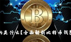 比特币钱包存放的是什么？全面解析比特币钱包