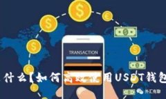 USDT钱包是什么？如何高效使用USDT钱包的全面指南