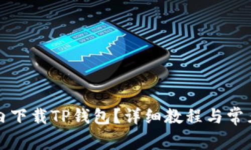 如何在国内下载TP钱包?详细教程与常见问题解答