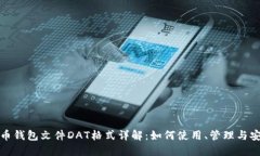 比特币钱包文件DAT格式详解：如何使用、管理与