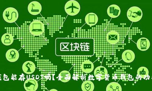 数字货币钱包能存USDT吗？全面解析数字货币钱包的功能与安全性