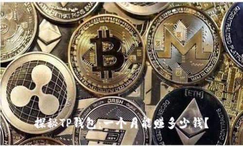 探秘TP钱包：一个月能赚多少钱？