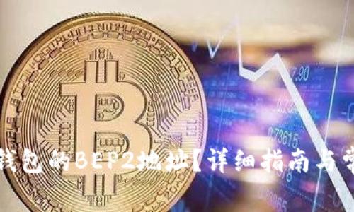 如何找到TP钱包的BEP2地址?详细指南与常见问题解答