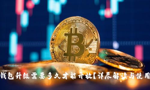 XLM钱包升级需要多久才能开放？详尽解读与使用指南