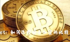 Dowallet: 如何选择安全加密的比特币钱包？