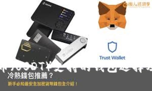 详解泰达币（USDT）支持的钱包选择及使用指南