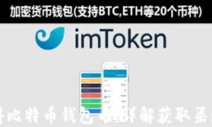 如何获得比特币钱包币：详解获取渠道与方法