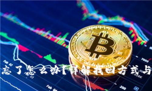 TP钱包助记词忘了怎么办？详解找回方式与安全注意事项