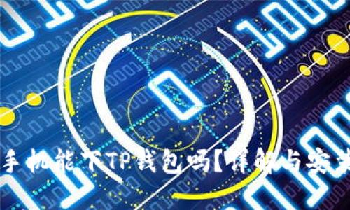 苹果手机能下TP钱包吗？详解与安装指南