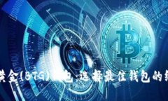 比特币黄金(BTG)钱包：选择最佳钱包的终极指南