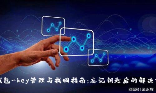 TP钱包-key管理与找回指南：忘记钥匙后的解决方案