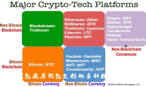 TP钱包底层钱包支持的多种数字币详解
