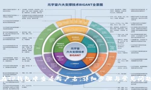 如何在TP钱包中查看用户名：详细步骤与常见问题解答