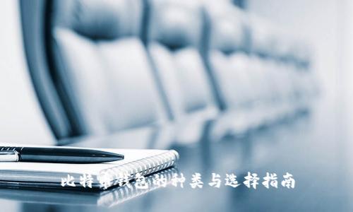 比特币钱包的种类与选择指南