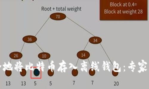 如何安全地将比特币存入离线钱包：专家独家秘诀