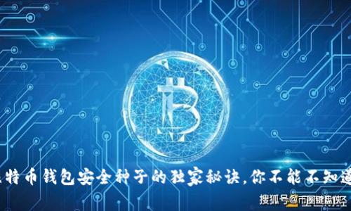 专家解密:比特币钱包安全种子的独家秘诀,你不能不知道的保护技巧
